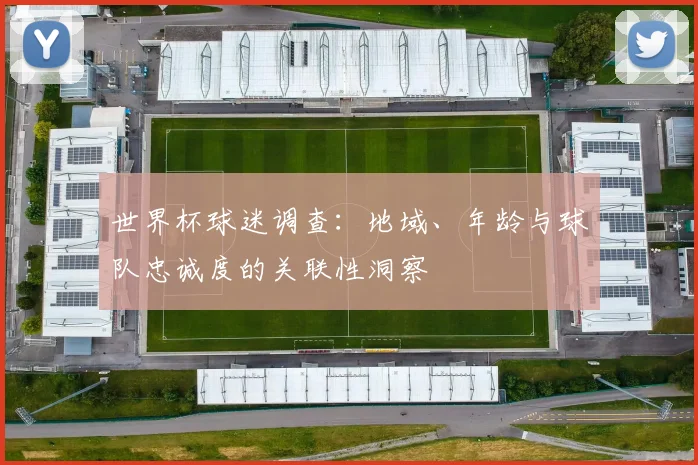 世界杯球迷调查:地域、年龄与球队忠诚度的关联性洞察